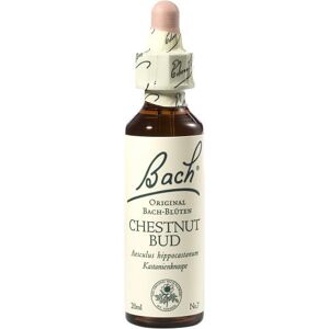 Bach-Blüte Chestnut Bud
