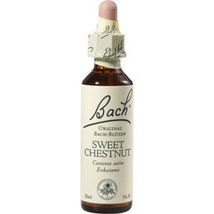 Bach-Blüte Sweet Chestnut