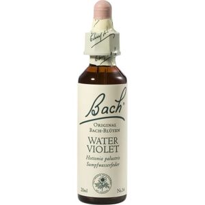 Bach-Blüte Water Violet