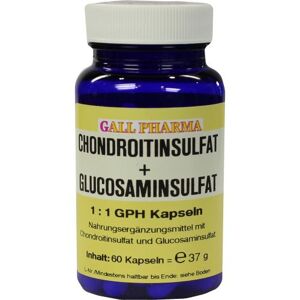 Chondroitinsulfat+Glusosaminsulfat 1:1 GPH Kapseln