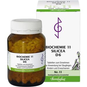 Biochemie 11 Silicea D 6