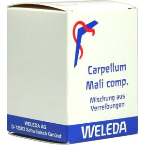 CARPELLUM MALI COMP