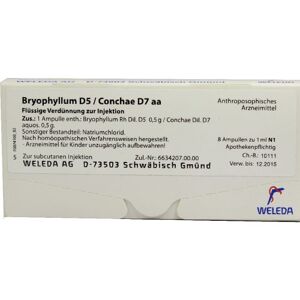 BRYOPHYLLUM D 5 CON D 7
