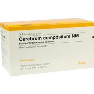 Cerebrum compositum NM