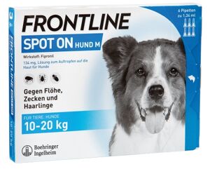 Frontline Spot on H 20 VET