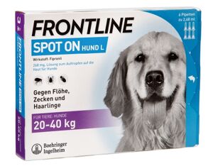 Frontline Spot on H 40 VET