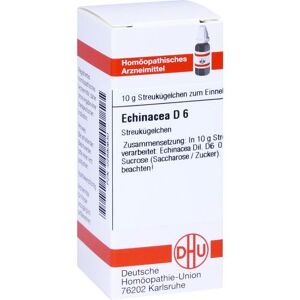 Echinacea (HAB) D 6