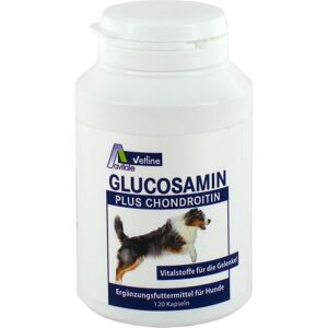 Glucosamin+Chondroitin Kapseln für Hunde