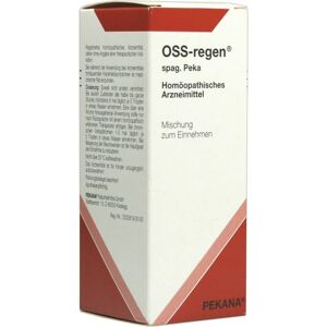 OSS-regen spag.