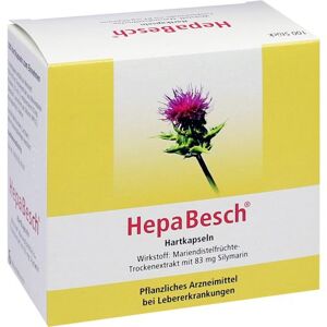 Hepabesch