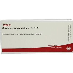 CEREBRUM REGIO MOTO GL D12