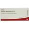 CEREBRUM REGIO MOTO GL D12