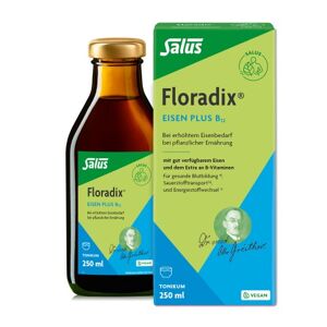 Floradix Eisen plus B12 vegan
