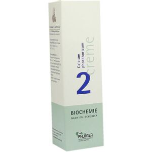Biochemie Pflüger Creme Nr.2 Calcium phosphoricum