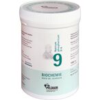 Biochemie Pflüger Nr. 9 Natrium phosphoricum D 6