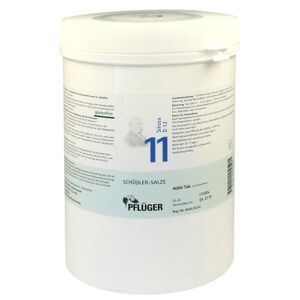 Biochemie Pflüger Nr. 11 Silicea D 12