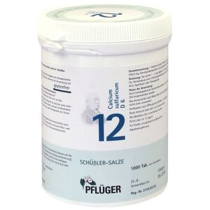 Biochemie Pflüger Nr. 12 Calcium sulfuricum D 6