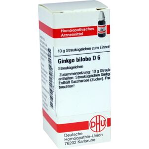 GINKGO BILOBA D 6