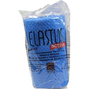 Elastus Active Bandage 10CMX4.6M gem.