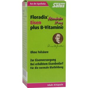 Floradix Eisen plus B-Vitamine