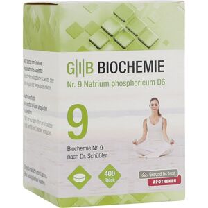 GIB Biochemie Nr.9 Natrium phosphoricum D 6