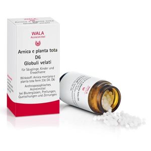 Arnica e planta tota D6, Globuli velati