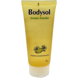 Bodysol Aroma-Duschgel Lemon-Zedernholz