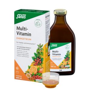 Multi-Vitamin-Energetikum Salus