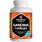 Garcinia Cambogia + Cholin