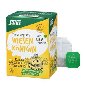 Teewerkstatt Wiesenkönigin Kräuter-Gewürztee Bio