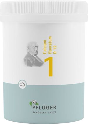 Biochemie Pflüger Nr. 1 Calcium fluoratum D12