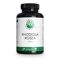 GREEN NATURALS Rhodiola Rosea 500 mg hochdosiert