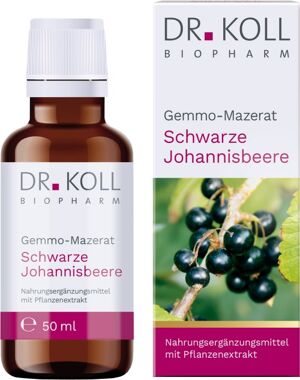 Gemmo-Mazerat schwarze Johannisbeere Dr.Koll Ribes