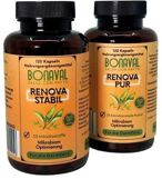 BONAVAL Renova Darm Kur