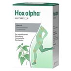 Hox alpha