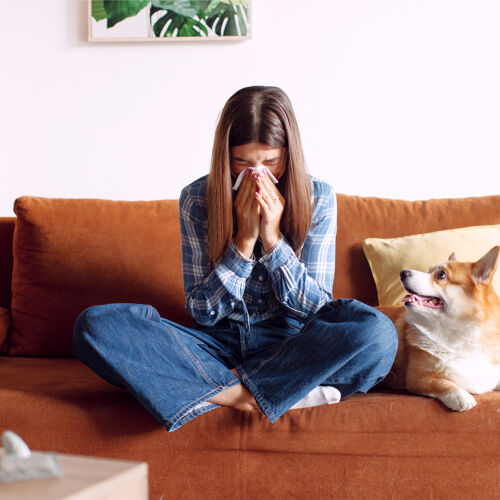 Allergie & Unverträglichkeiten