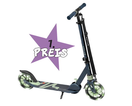 1 x Roller „Movino City Light“