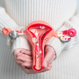 Welche Ursachen und Risikofaktoren gibt es für Endometriose?