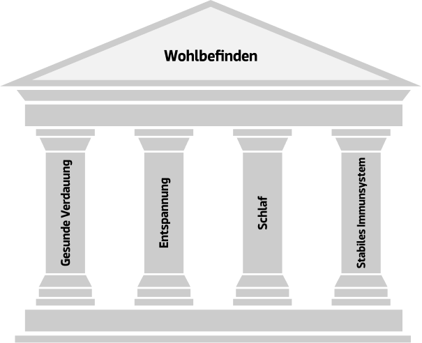 Die 4 Säulen des Wohlbefindens