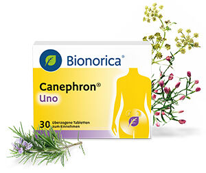 canephron antibiotikum)