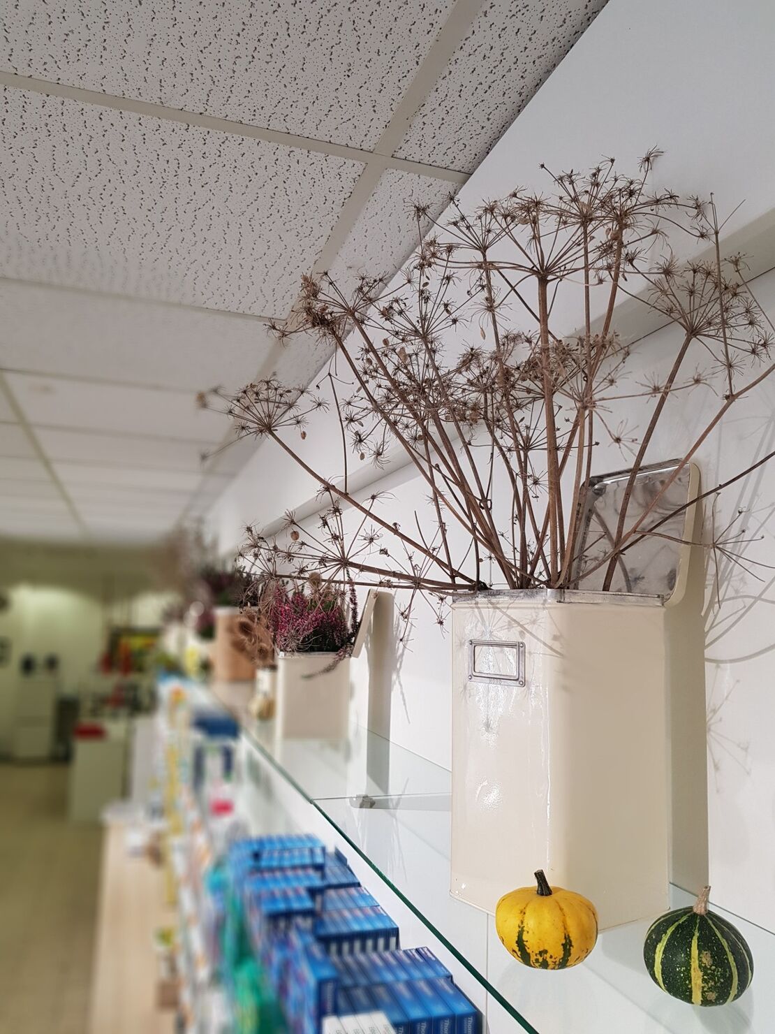 Westerwinkel-Apotheke